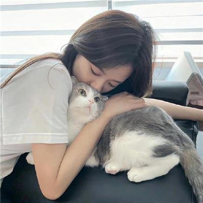昙花梦