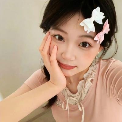 盗影谜情